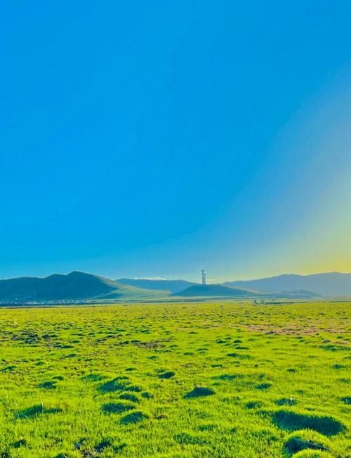 红原县现有阳性感染者2例/红原县最新新闻