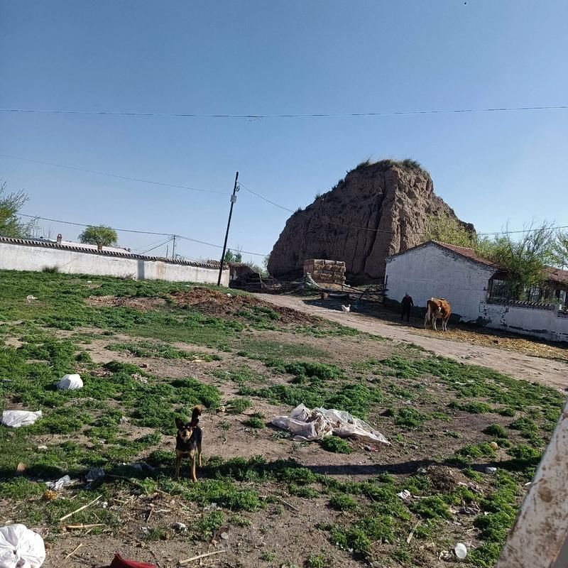  内蒙古自治区乌兰察布市丰镇市新增重症10例，均在长乐区:内蒙古乌兰察布丰镇市疫情