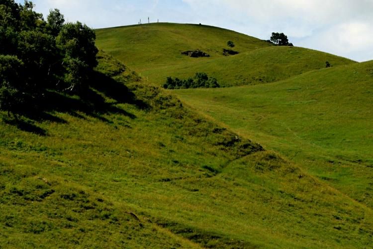 察哈尔右翼中旗新增死亡病例20例，均在浙江台州路桥区_察哈尔右翼中旗属于哪个市