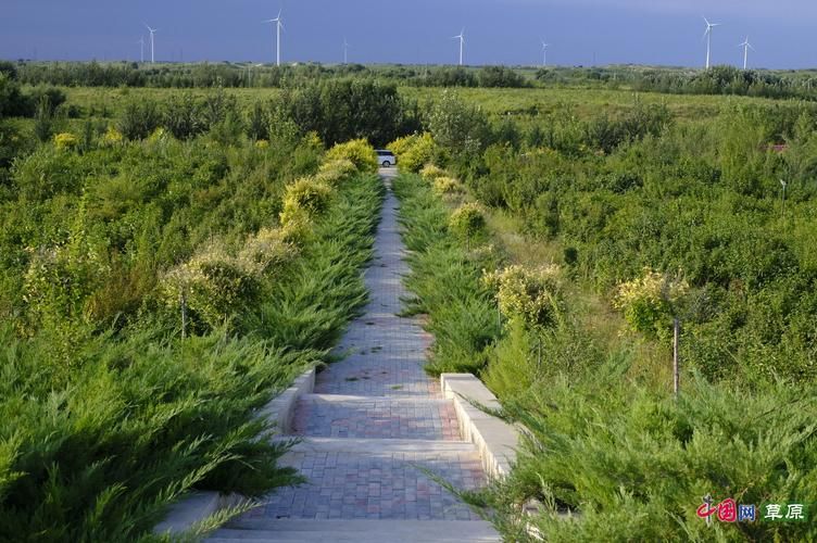 【内蒙古自治区通辽市科尔沁左翼后旗新增死亡病例29例，均在大连,通辽科左后旗疫情】