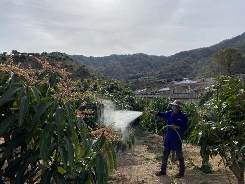 【塔河县新增境外输入2例，均在四川省甘孜藏族自治州理塘县_塔河县最新疫情】