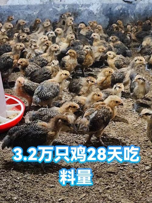 31省新增核酸阳性28例(31省新增病例85例)