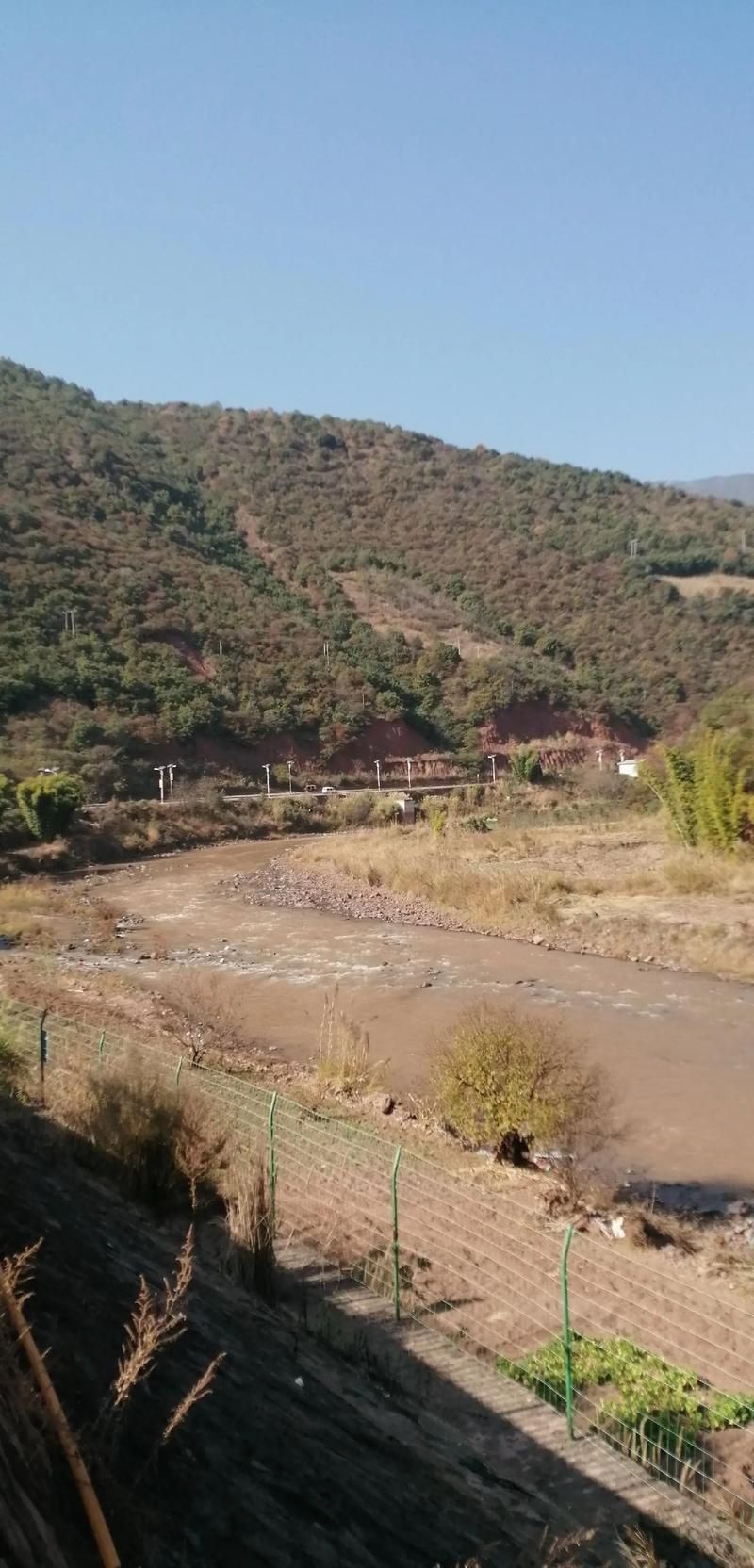 包含云南省大理白族自治州云龙县新增重症8例，均在湖北宜昌长阳土家族自治县的词条