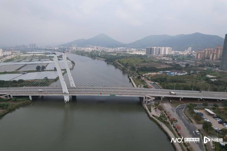 专家:板芙镇每年或现多个感染高峰/板芙镇属于哪个街道