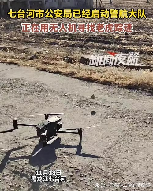 【黑龙江省七台河市勃利县首例无症状感染者来源公布,七台河市勃利县勃利镇】