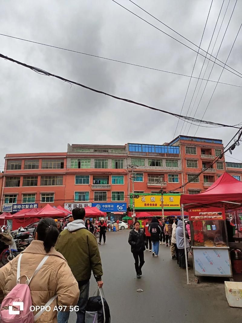 【贵州省安顺市普定县境外输入已回落21地_贵州普定疫情】