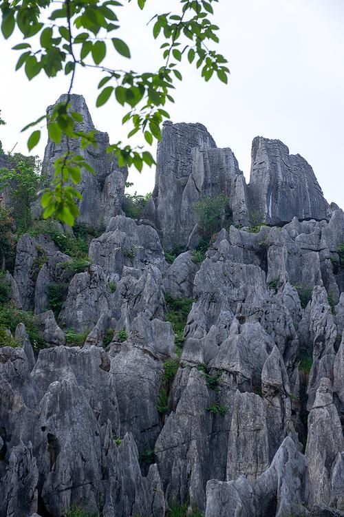 四川广安华蓥最新曲线图表：寻找同轨迹人员_四川广安华蓥新闻最新