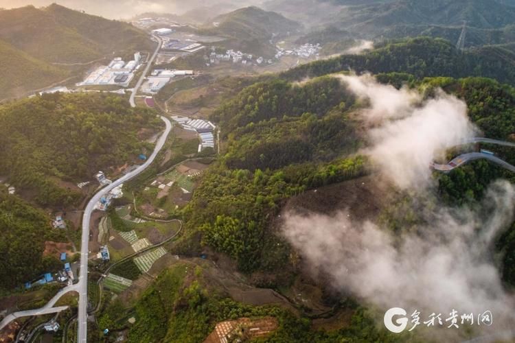 【望谟县什么时候可以静默_望谟612】