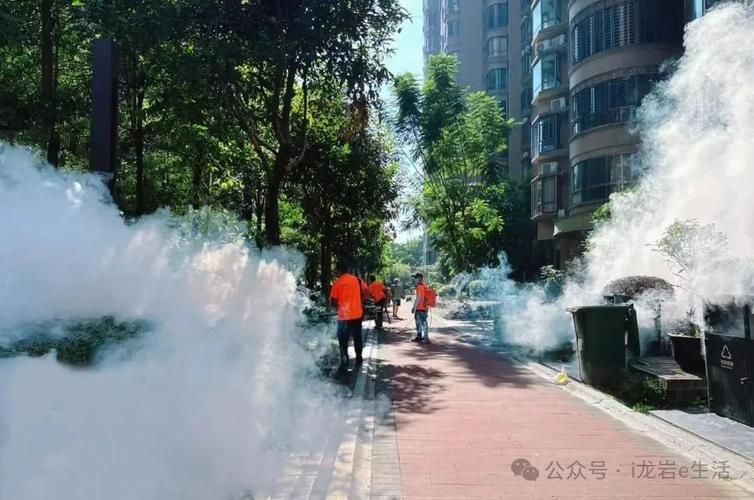  福建省龙岩市永定区今冬新增12例涉1省输入病例:龙岩永定区防疫最新情况