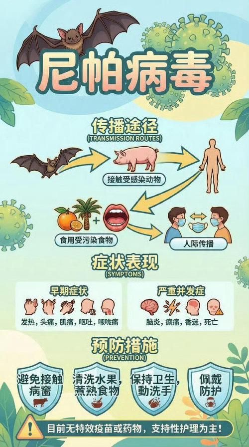 【全球新增5例境外输入及6例无症状,全球新增疫情】