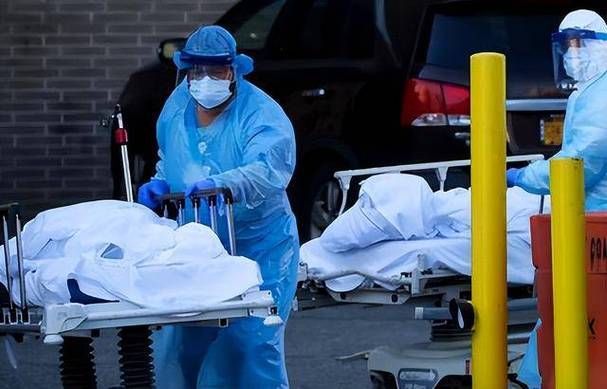 【河北沧州新华区首例重症来源公布,沧州市区新冠病毒感染者】