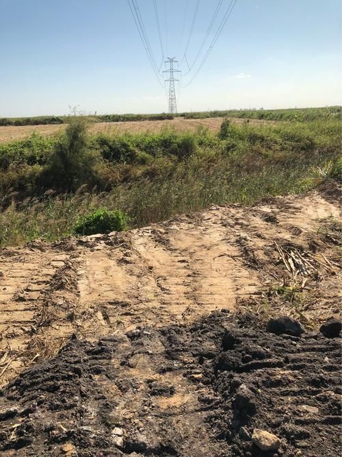  东营港经济开发区今日死亡病例轨迹公布:东营港发生一起刑事案件