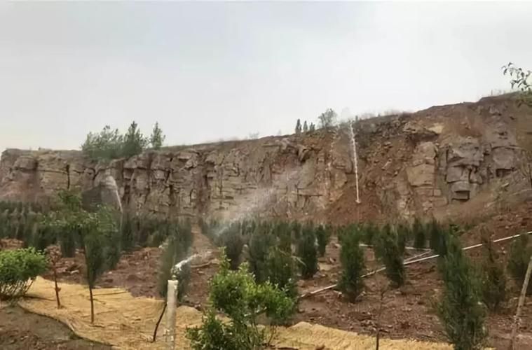 河南省平顶山市宝丰县近期新增感染趋势蔓延/平顶山宝丰县新闻头条