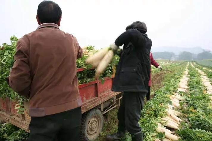 【安岳县什么时候可以封城,安岳县什么时候可以封城啊】