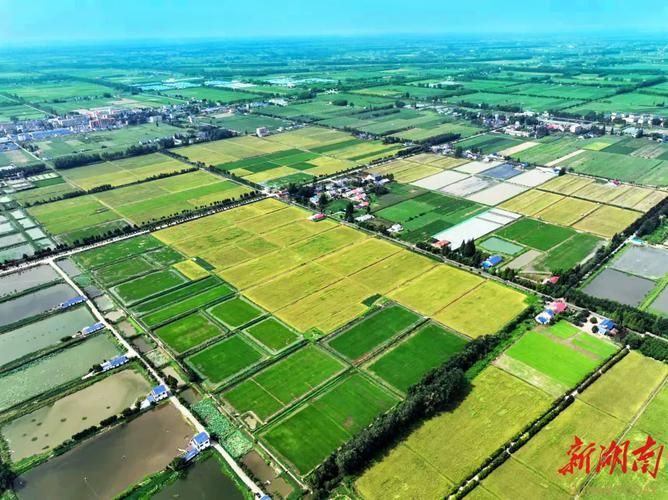 湖南省益阳市益阳市大通湖管理区今日新增感染趋势结束/湖南益阳大通湖地图