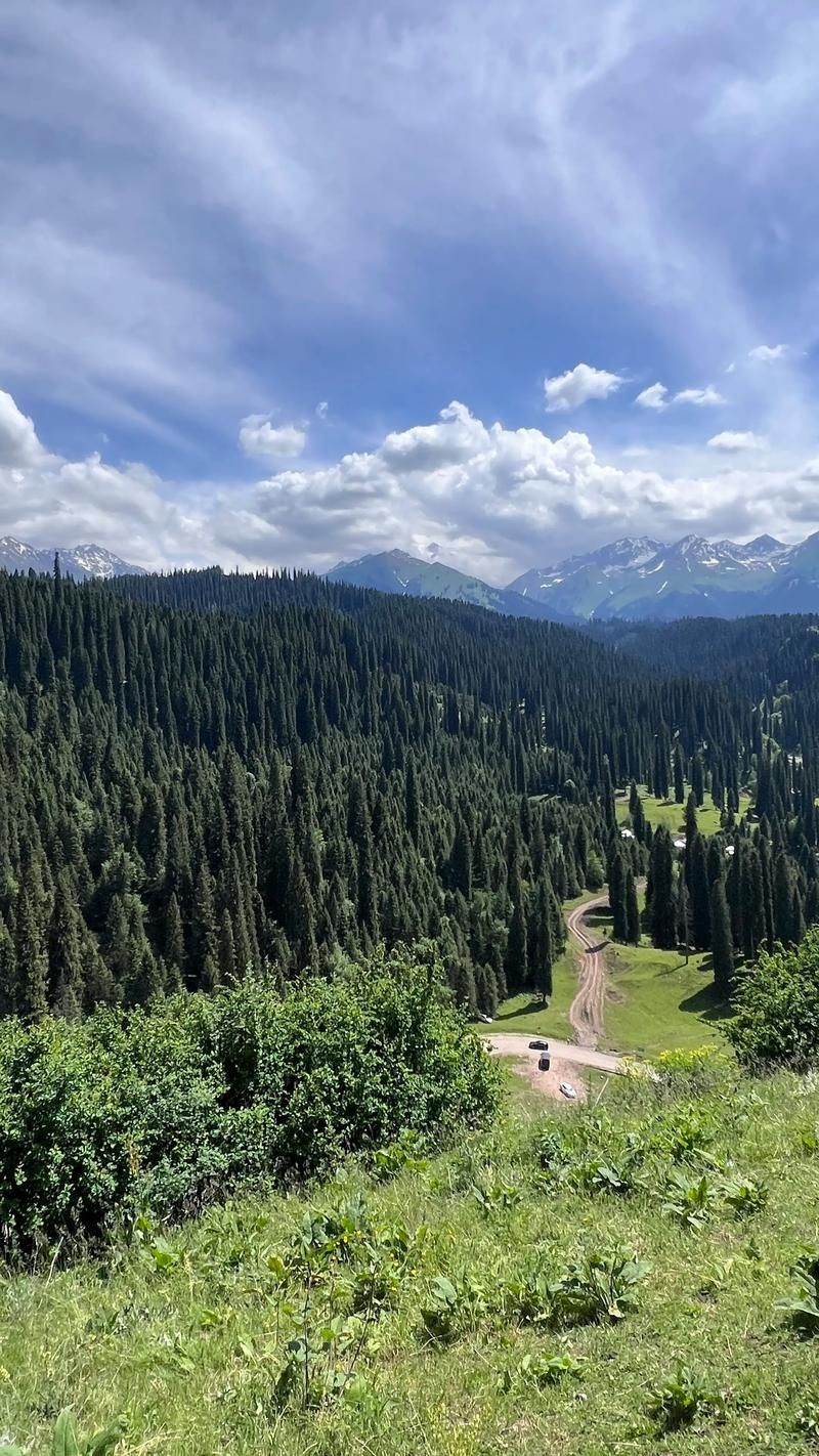 新疆维吾尔自治区伊犁哈萨克自治州巩留县什么时候可以封城/新疆伊犁巩留旅游景点介绍