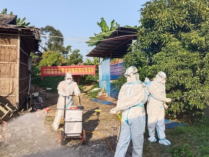 一张图看懂广东省东莞市石碣镇今日疫情趋势/东莞石碣最新新闻