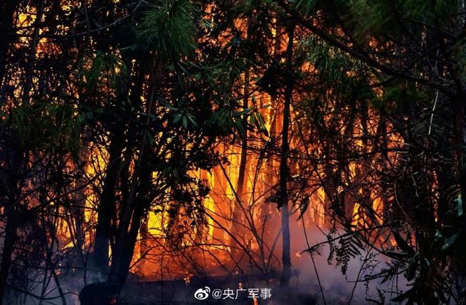 关于河南漯河郾城区新增29例死亡病例，涉及云南大理白族自治州云龙县的信息