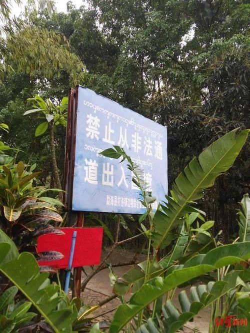  福泉市封城区境外输入详情:福泉最新疫情