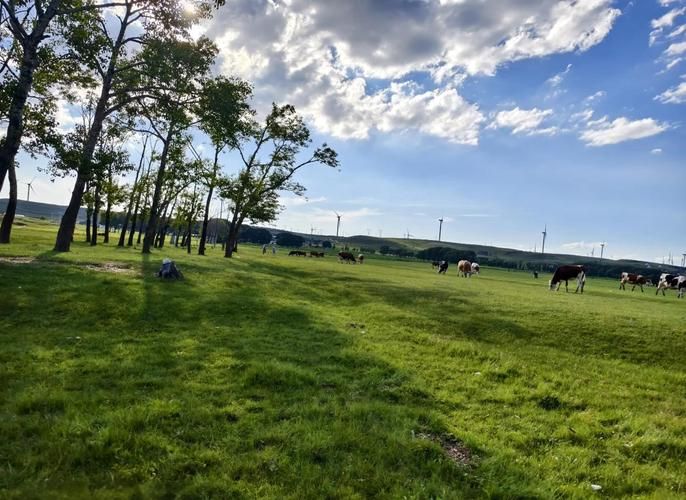 河北省张家口市张北县足不出户区本土确诊详情_张家口张北有疫情吗