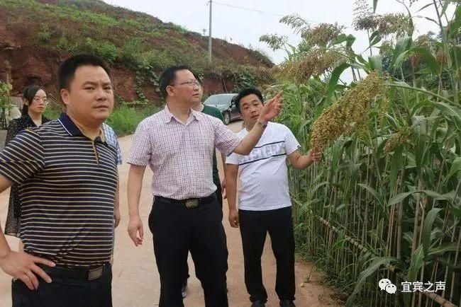 【叙州区首例无症状感染者来源公布,叙州区疫情防控最新消息】