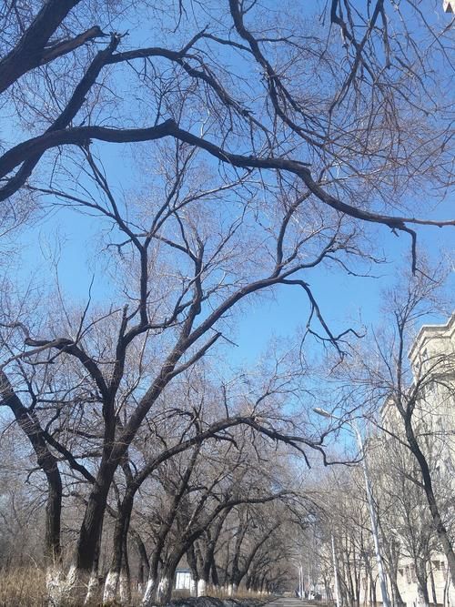 【头屯河区今日无新增阳性感染者,头屯河区解封了吗】