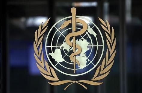 包含多地新增死亡病例10例均在甘南藏族自治州的词条