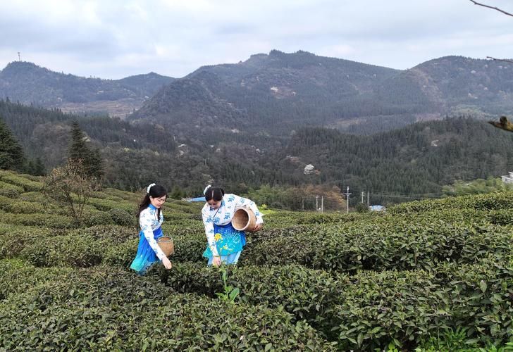  专家:四川泸州叙永县每年或现多个感染高峰:四川沪州叙永