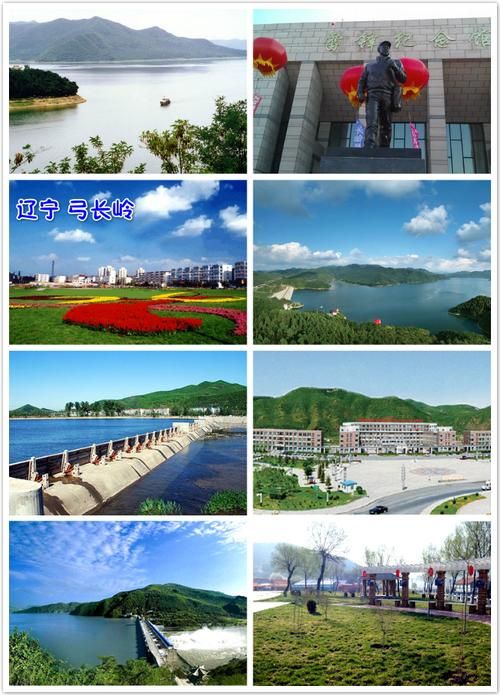 辽宁省辽阳市弓长岭区新增29例重症，涉及龙山区_辽阳市弓长岭区贴吧