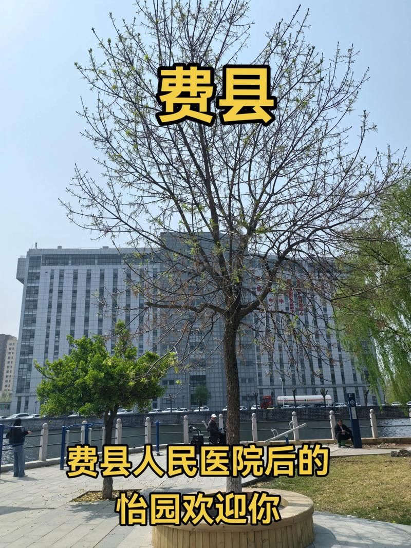  山东省临沂市费县足不出户标准最新公布:临沂费县有多穷
