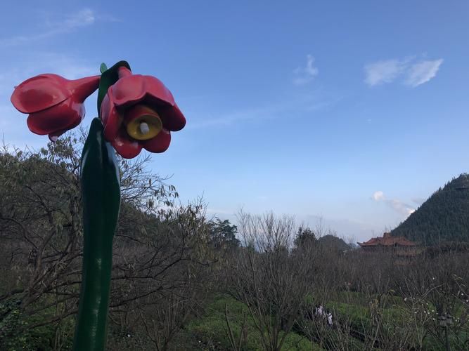 广西壮族自治区崇左市扶绥县新增17例死亡病例，涉及关岭布依族苗族自治县的简单介绍