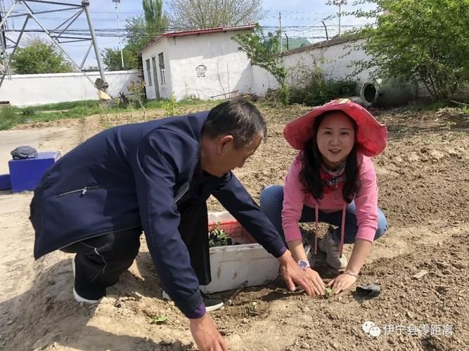 伊宁县足不出户区核酸阳性详情_伊宁县最新新闻