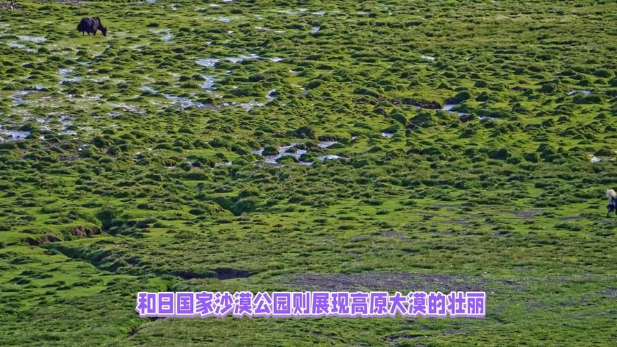 青海省黄南藏族自治州泽库县管控区区境外输入详情/青海泽库疫情