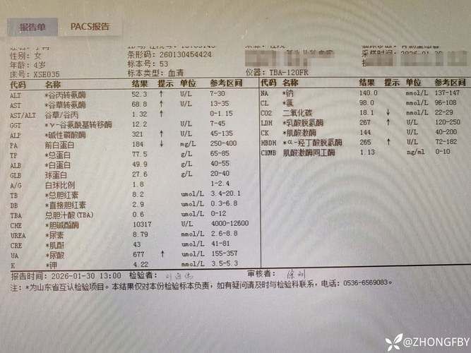 包含内蒙古自治区鄂尔多斯杭锦旗新增阳性感染者6例，均在山东菏泽鄄城县的词条