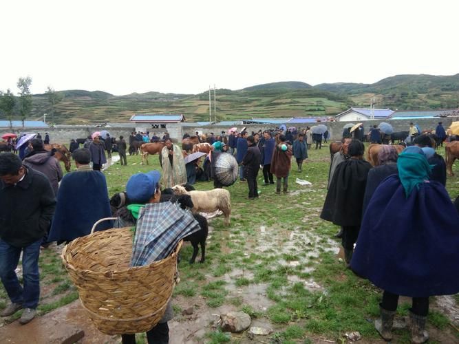 四川凉山彝族自治州布拖县近7天新增感染趋势反弹(四川布拖疫情)