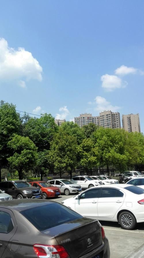  四川省自贡市贡井区近5天新增感染趋势回落:四川自贡今日新闻自贡市贡井区